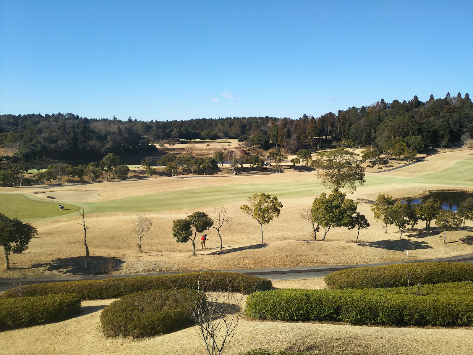 Narita Fairfield - 6
