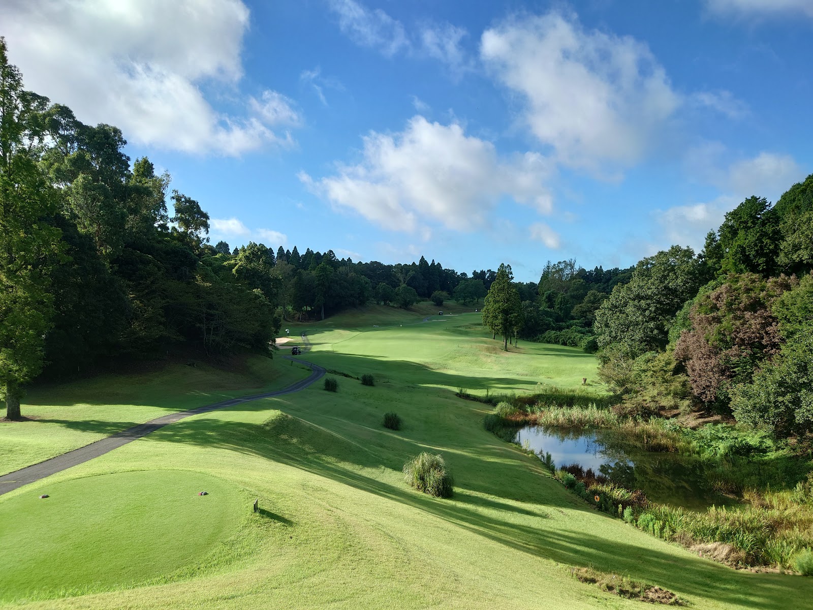 Skyway Country Club - 2