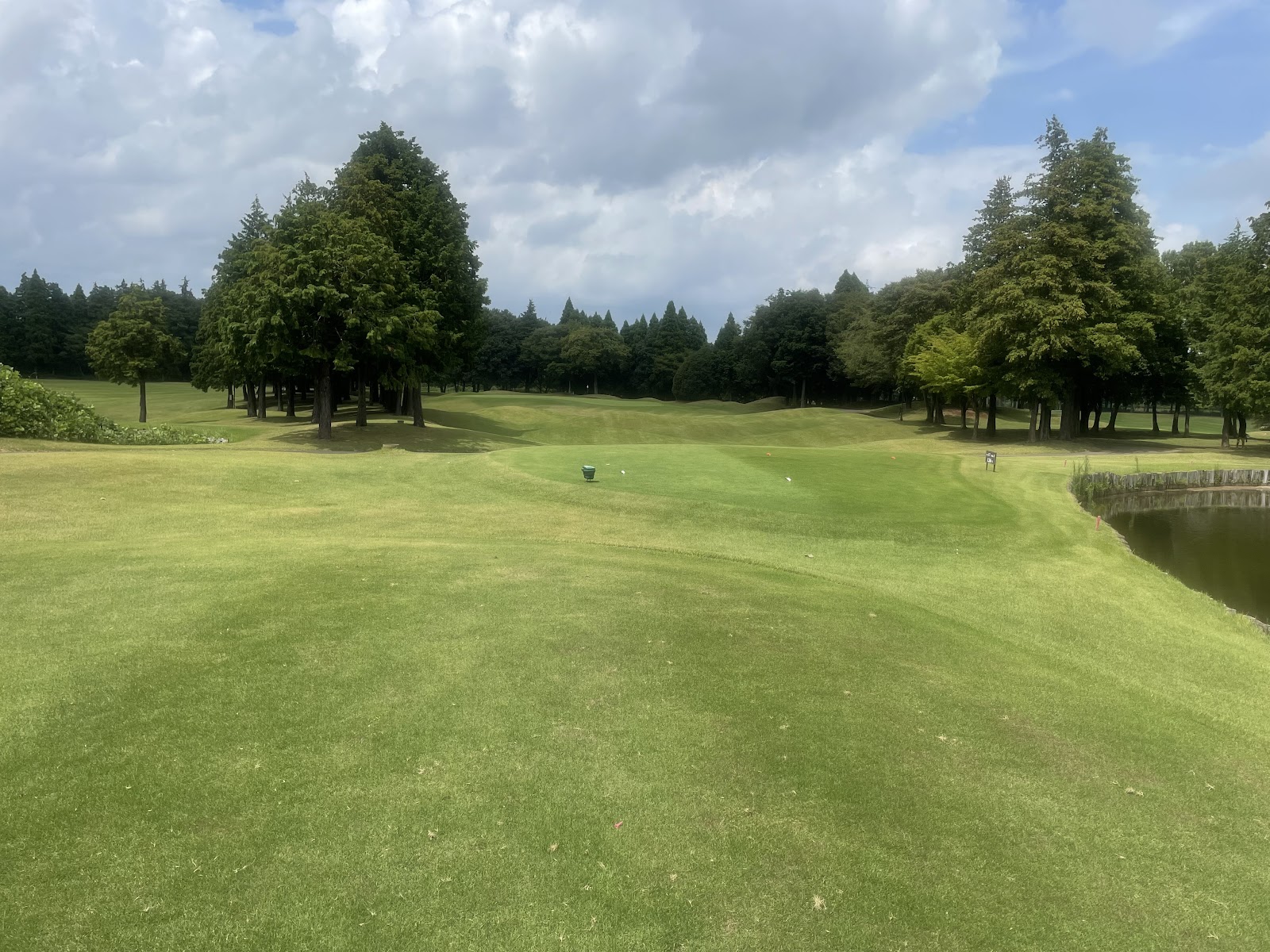 One Way Golf Club - 2