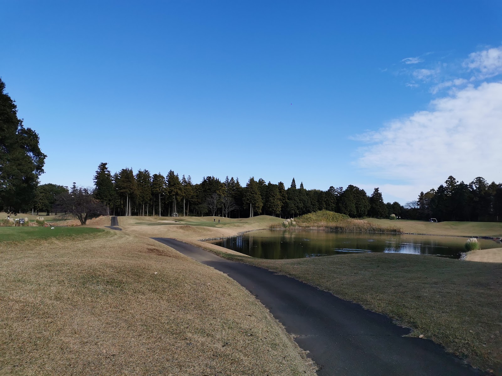 One Way Golf Club - 4