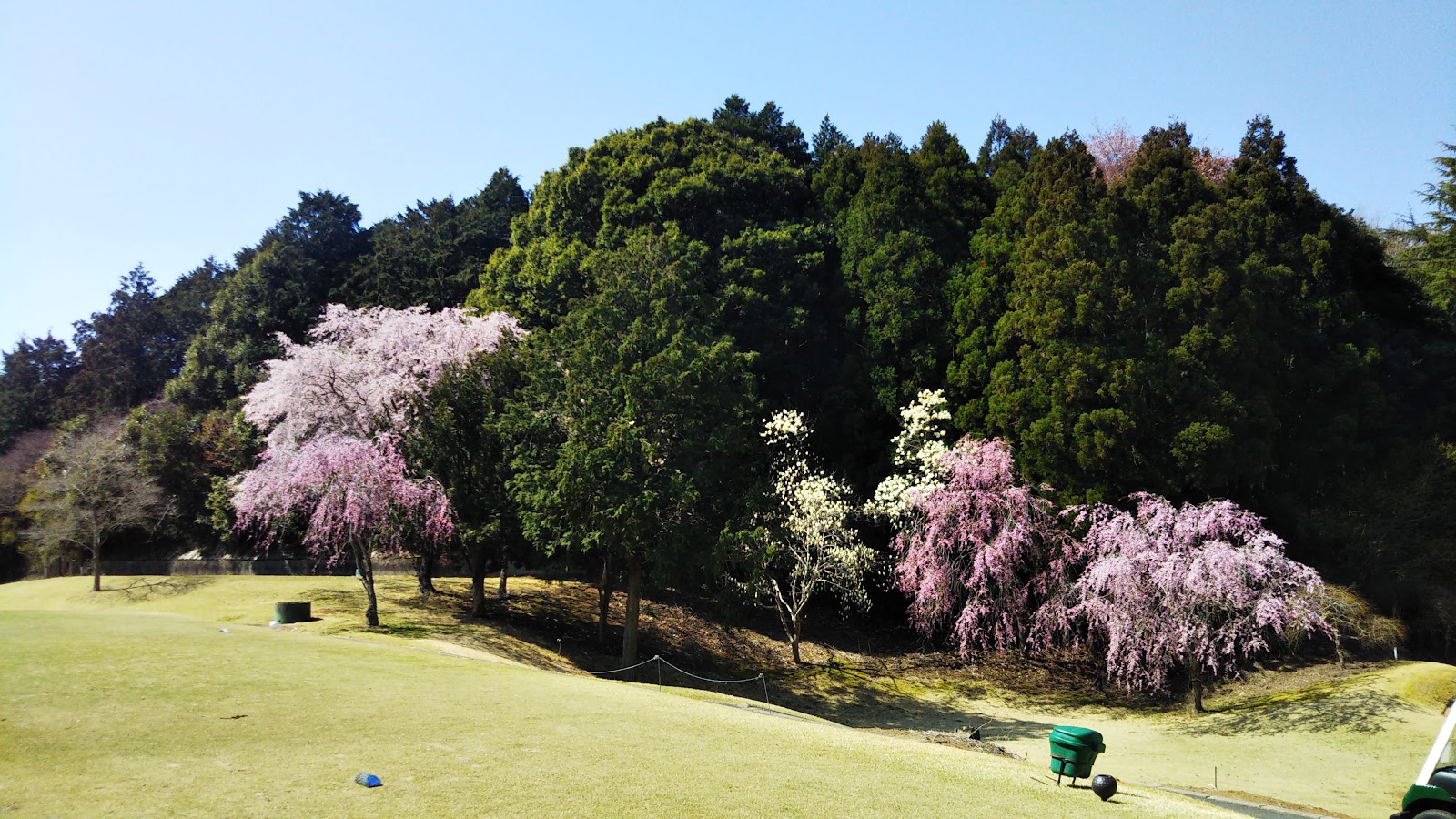 Zō Golf Club Wakumi Course [PGM] - 6