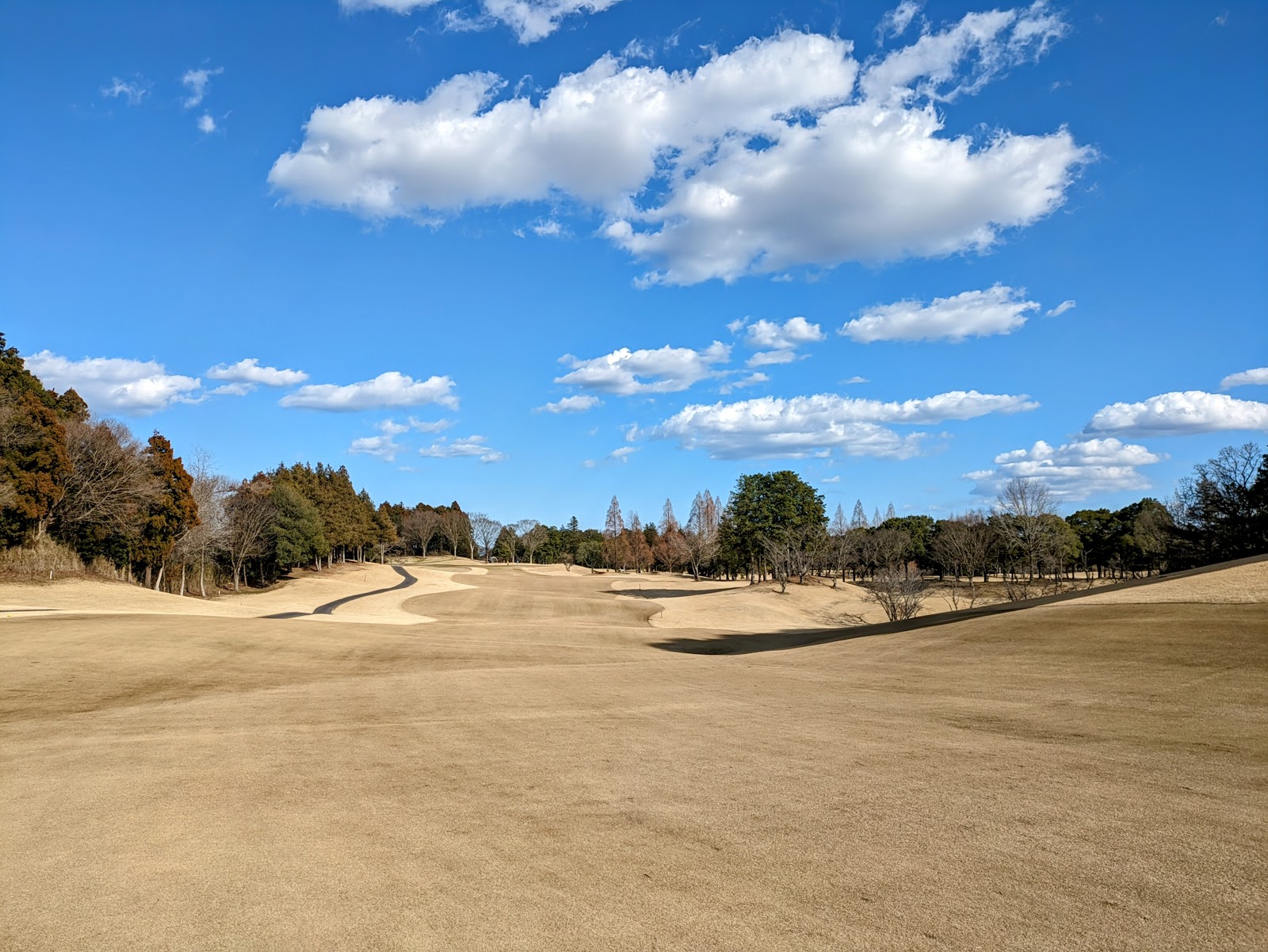 Tamazō Golf Club Nenjiki Course - 5