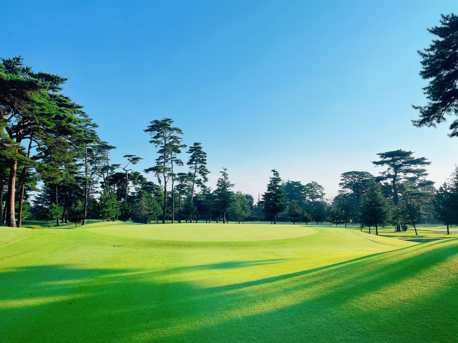 Joyo Country Club - 2