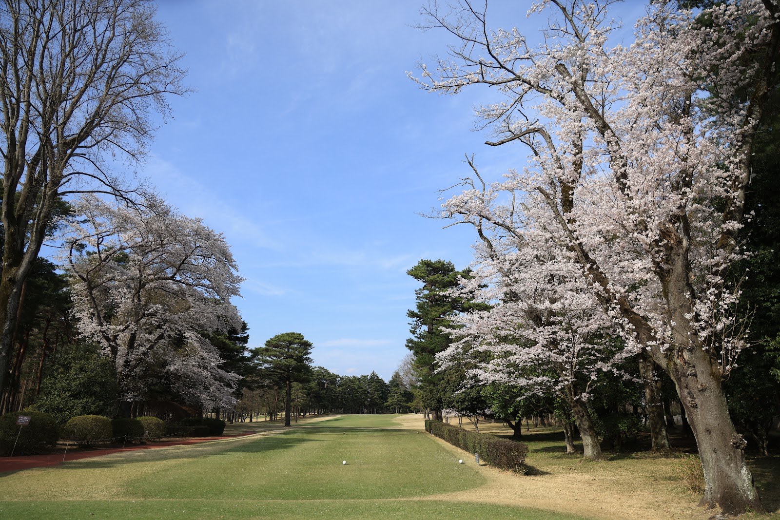 Tsukuba Country Club - 2