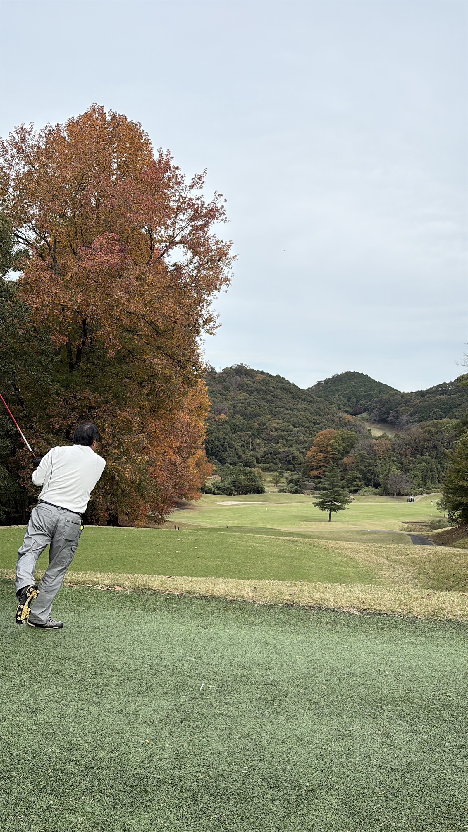 Ohiradai Country Club - 3
