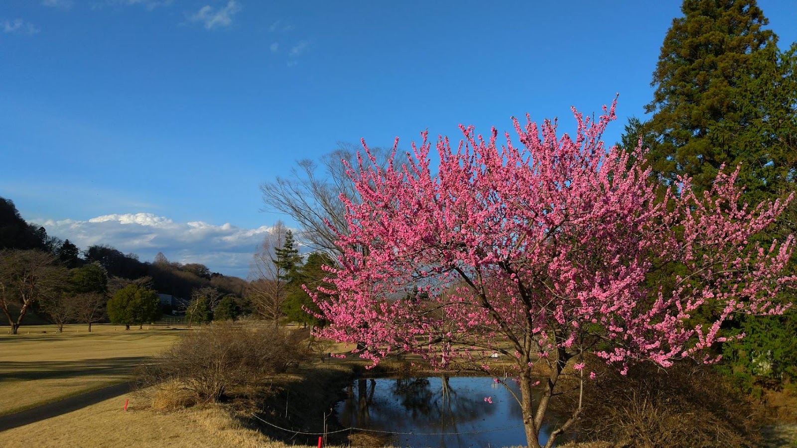 Tochigi Country Club - 6