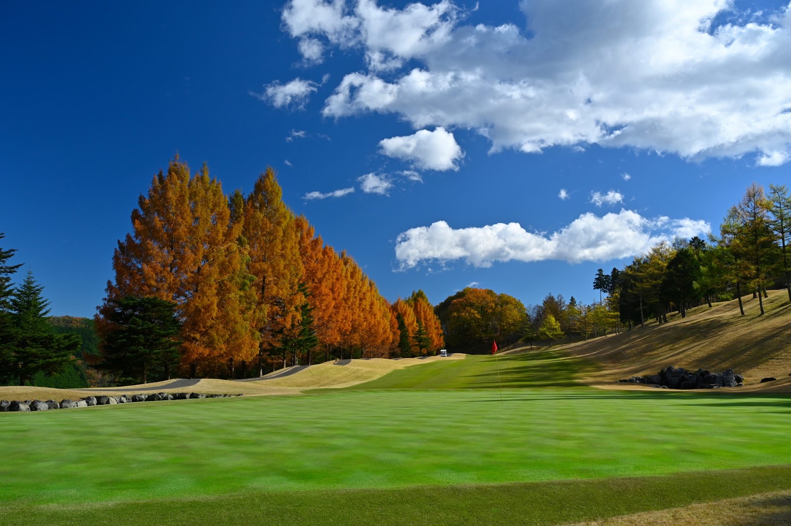 Minami-Tochigi Golf Club - 2