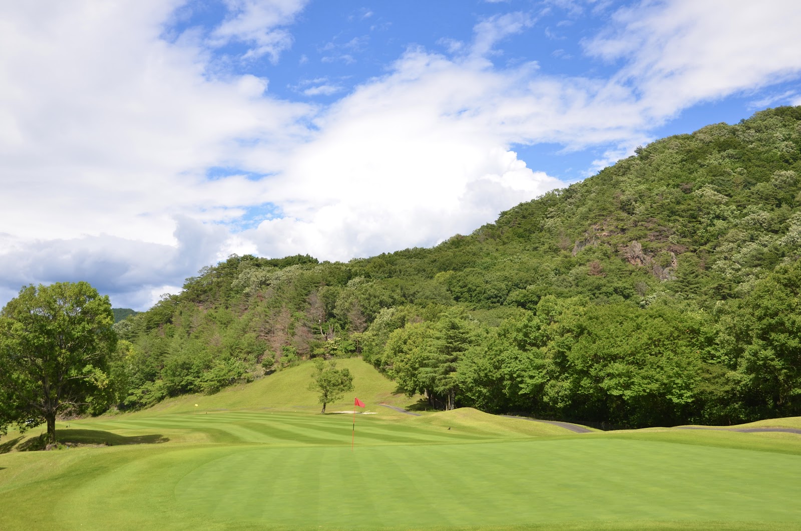 Tsutsujigaoka Country Club - 5
