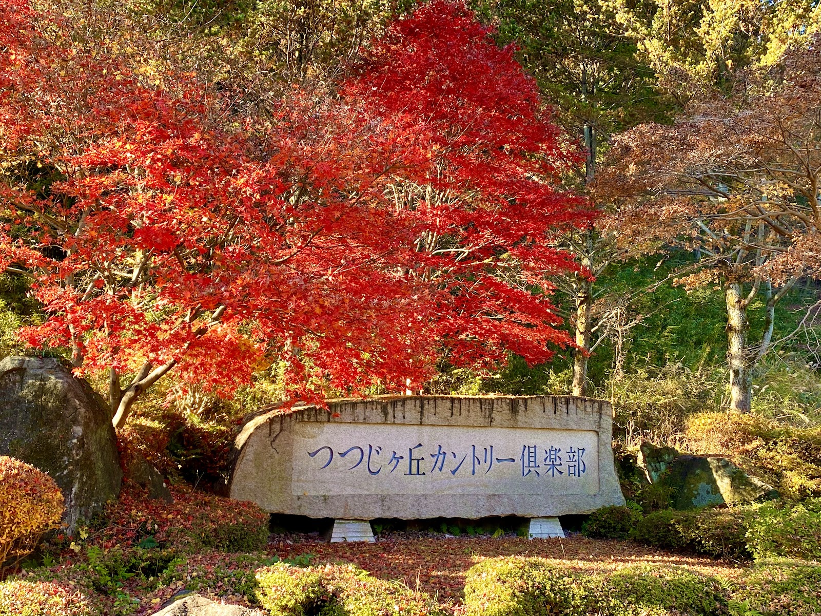 Tsutsujigaoka Country Club - 6
