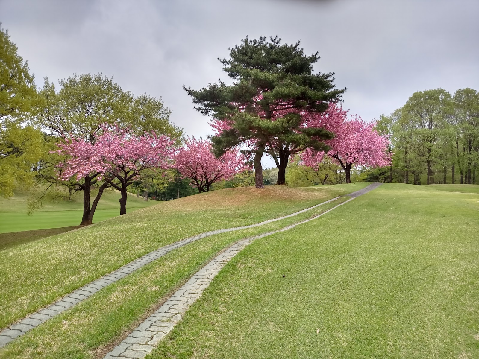 Akagi Golf Club - 4