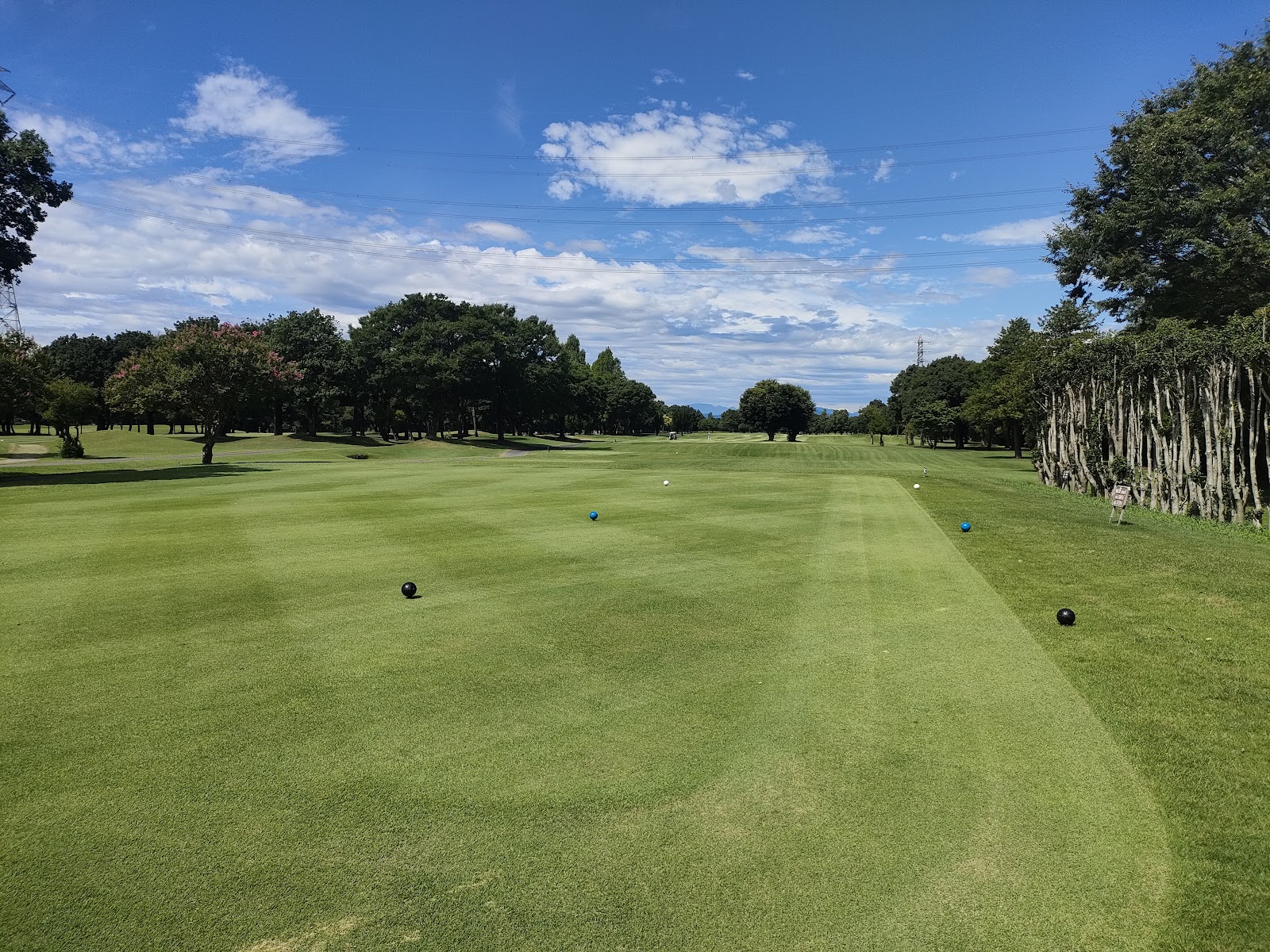 Dai-Asao Golf Course