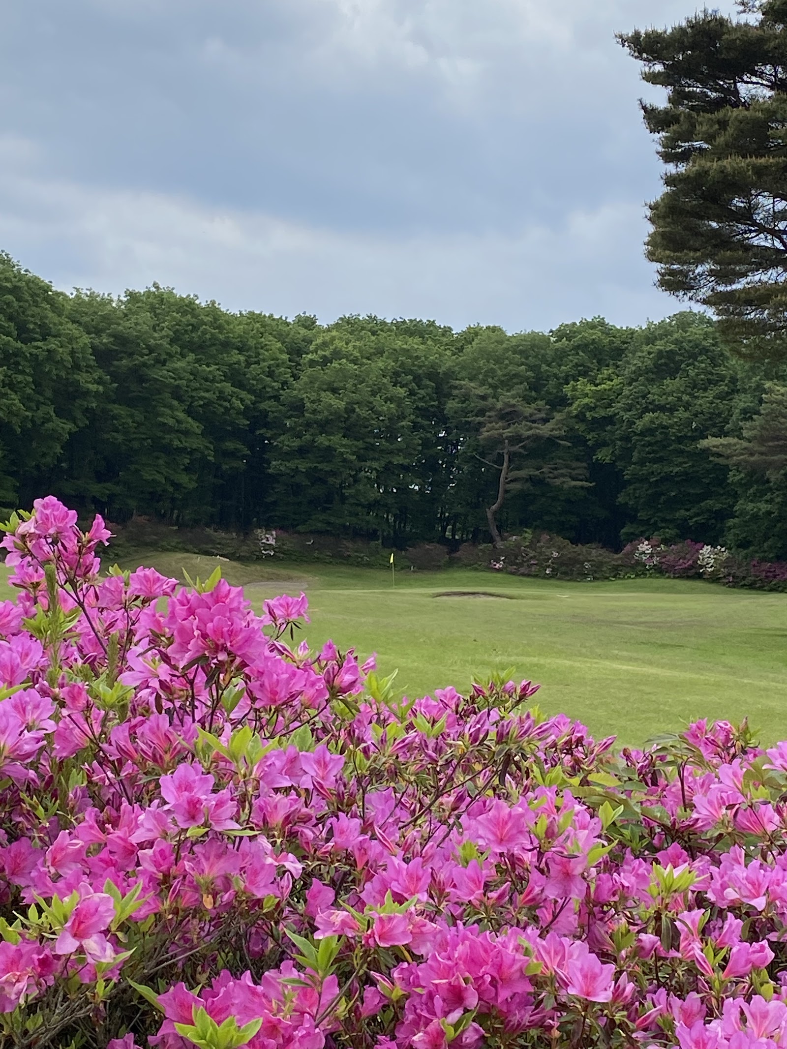 Shōwa no Mori Golf Course - 5
