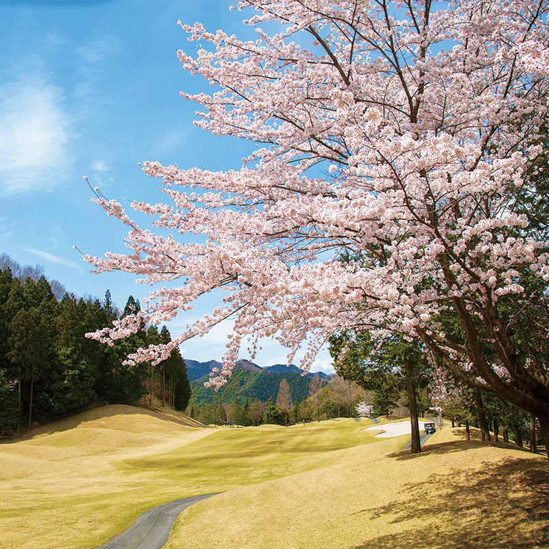 Obatago Golf Club - 3