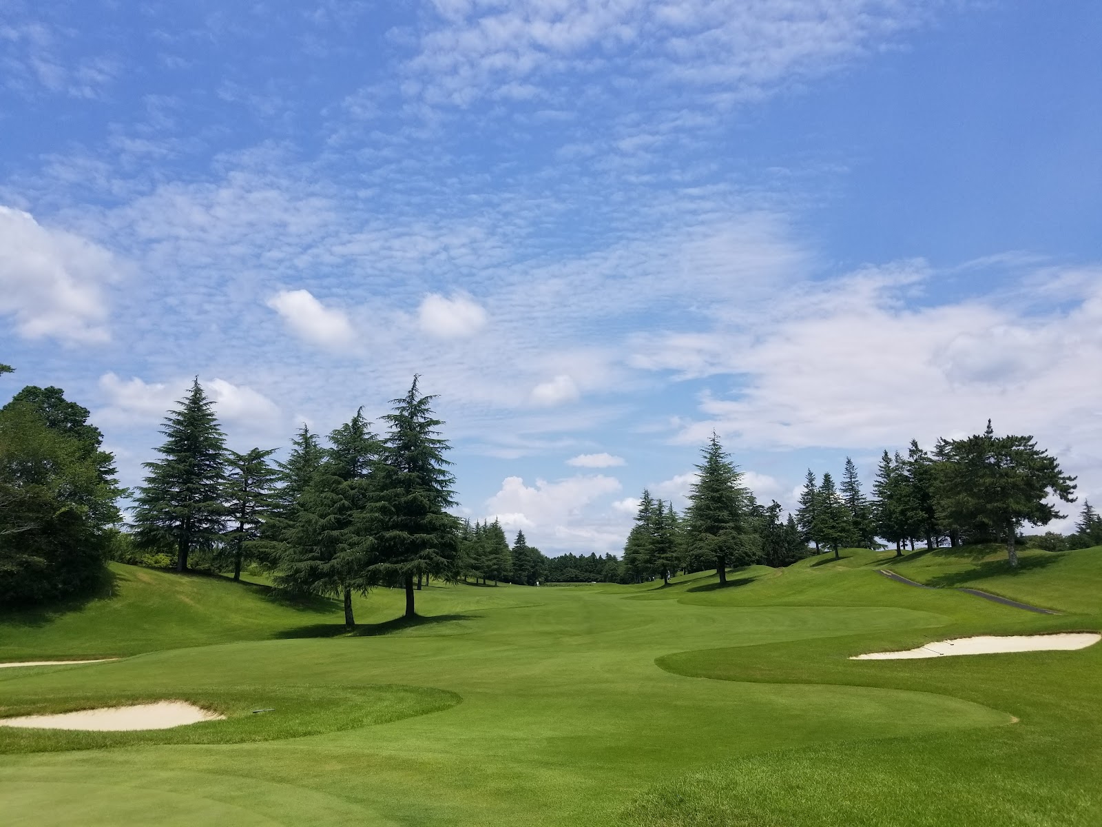 GOLF 5 Country Sunny Field - 2