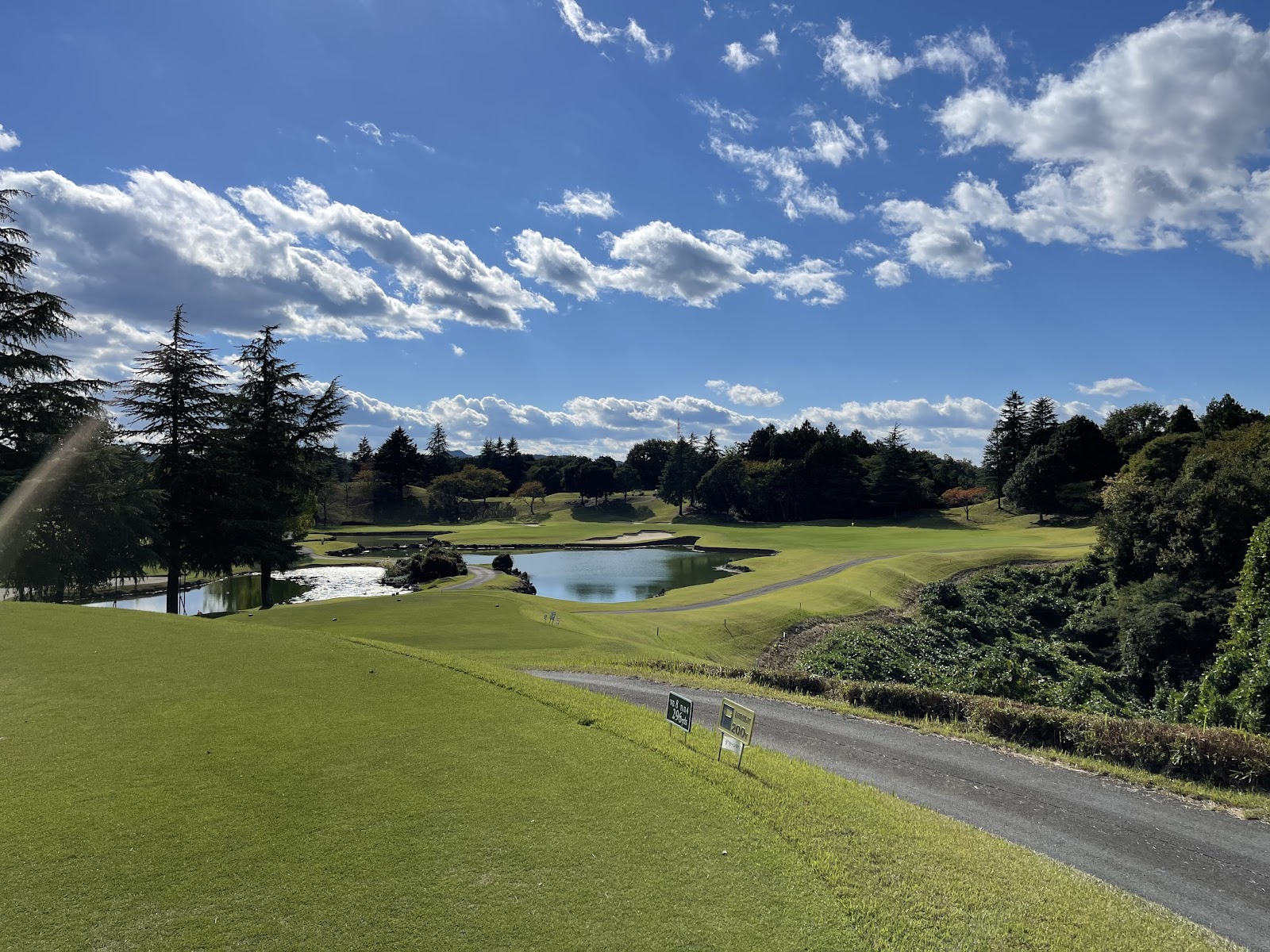 GOLF 5 Country Sunny Field - 3