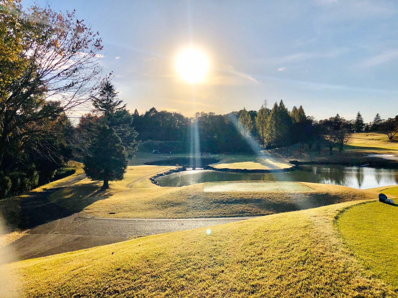 GOLF 5 Country Sunny Field - 4