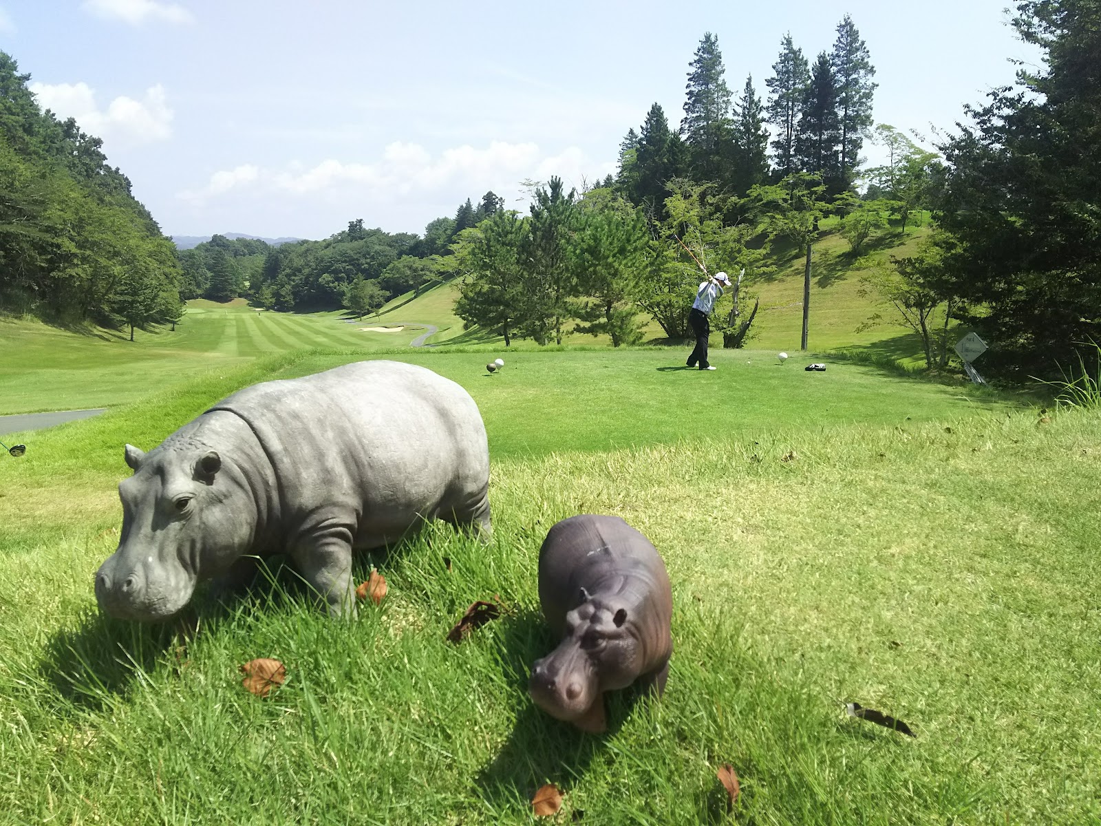 Kabaya Golf Club - 5