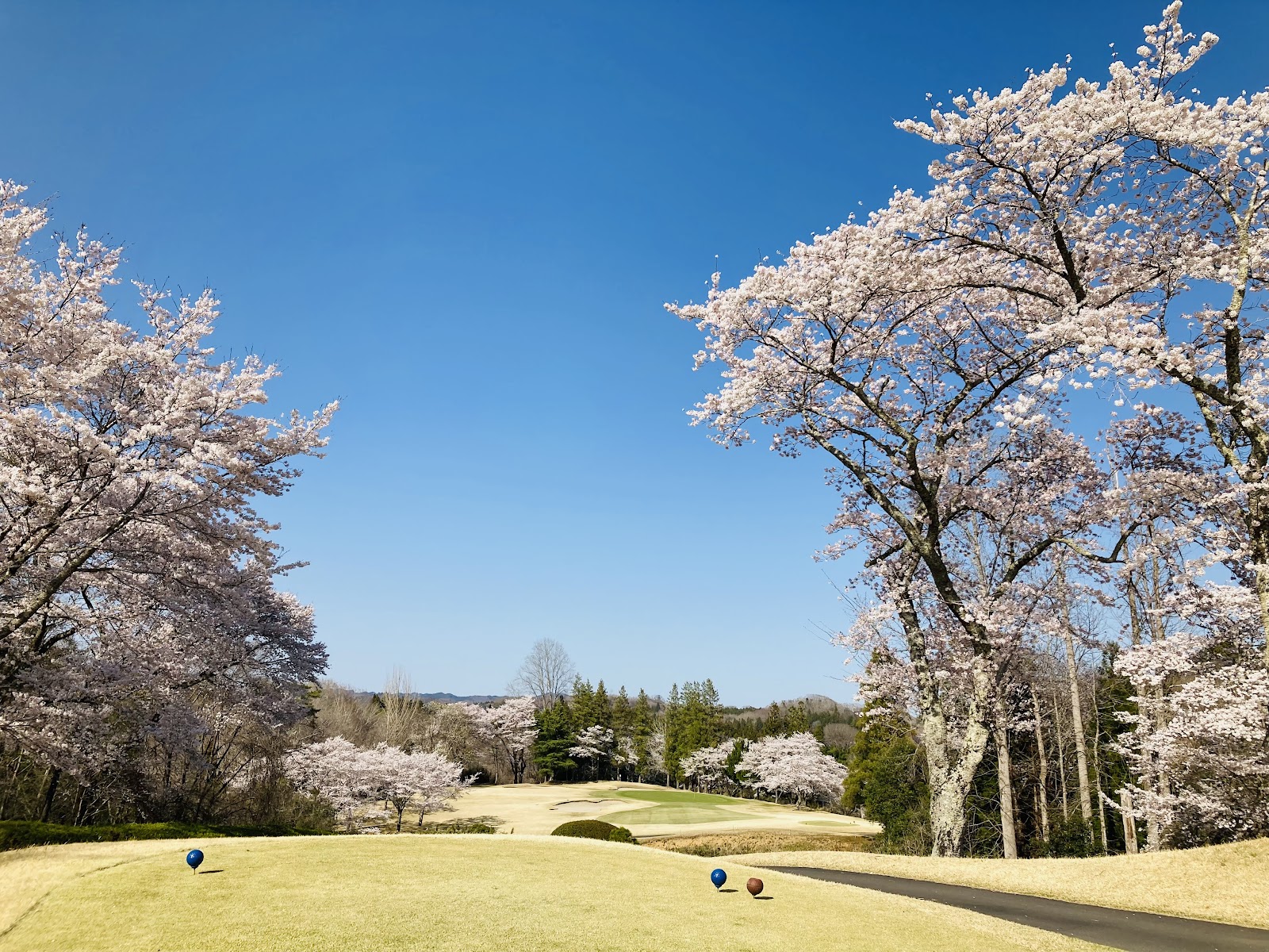 Kabaya Golf Club - 6