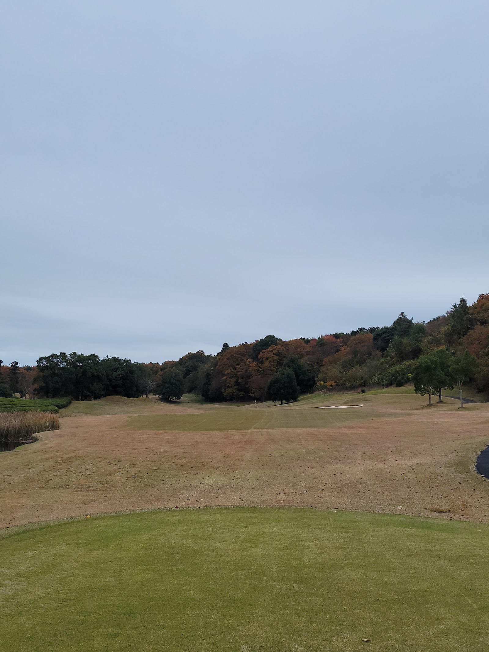 Ibaraki Royal Country Club - 4