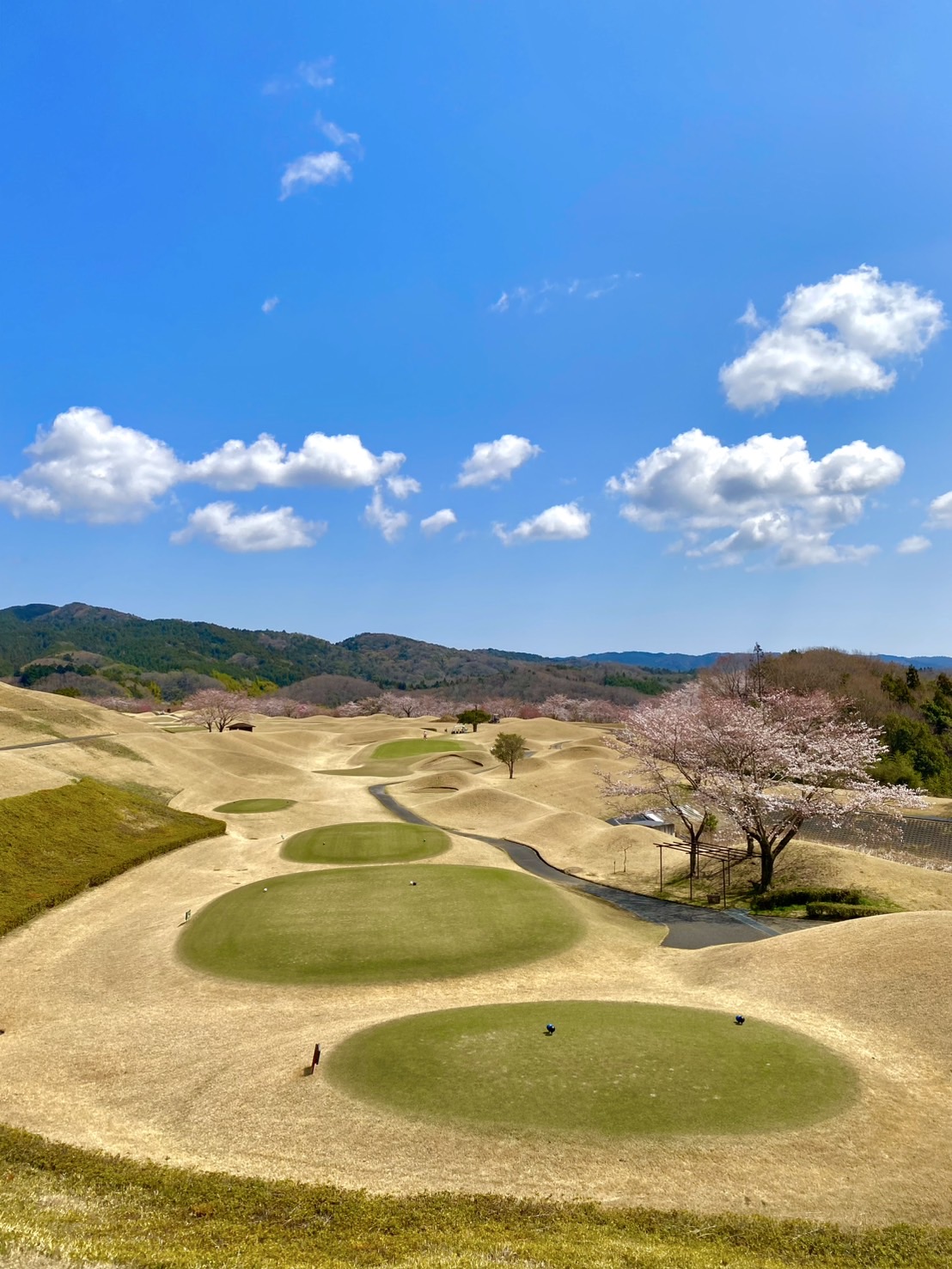 New Nishiyama-so Country Club - 4