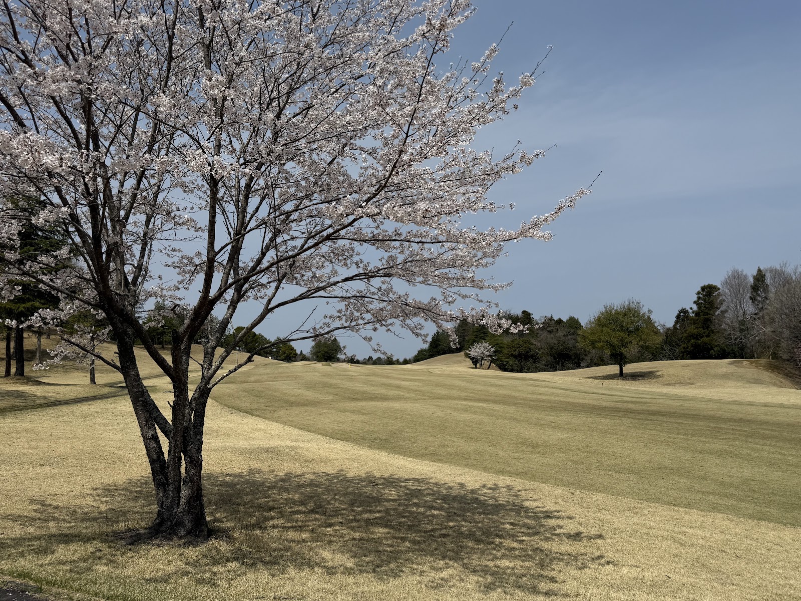 Kanasago Country Club - 6