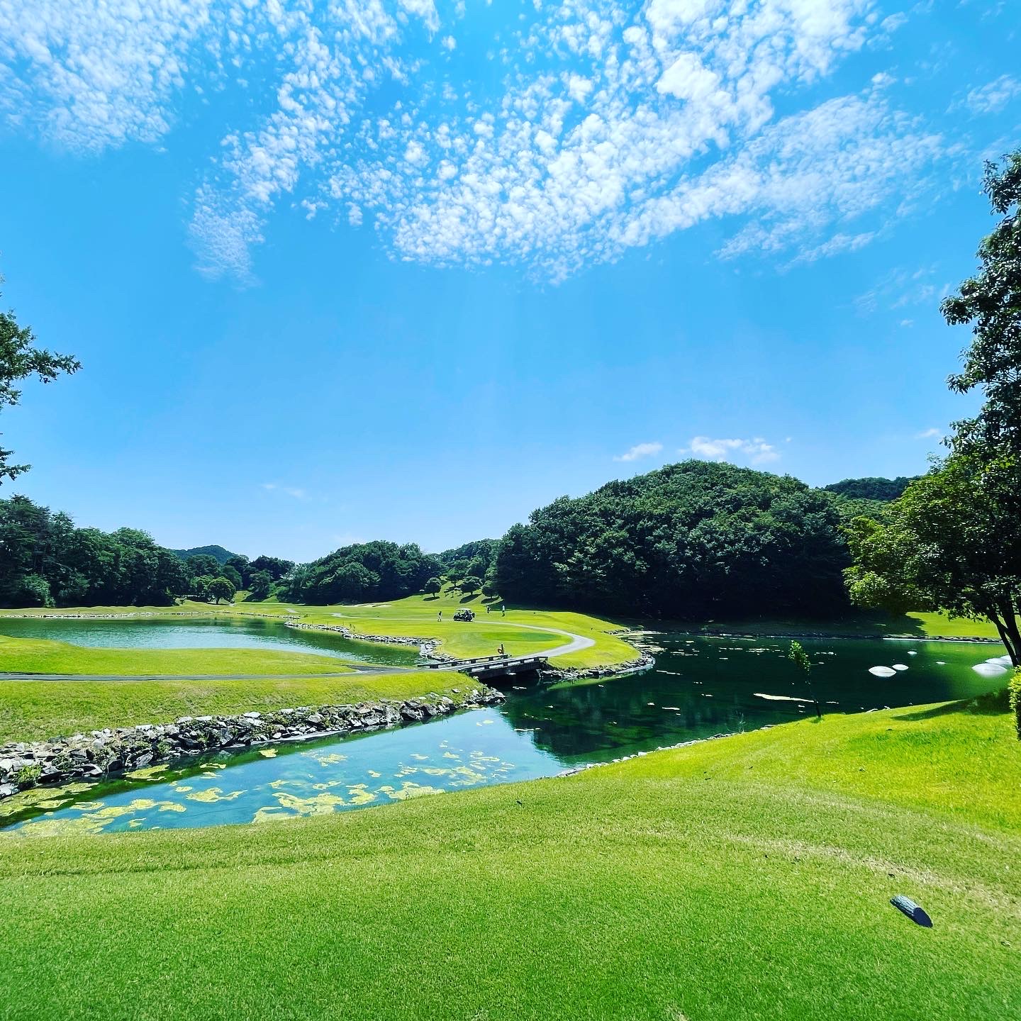 Midorino Country Club - 4