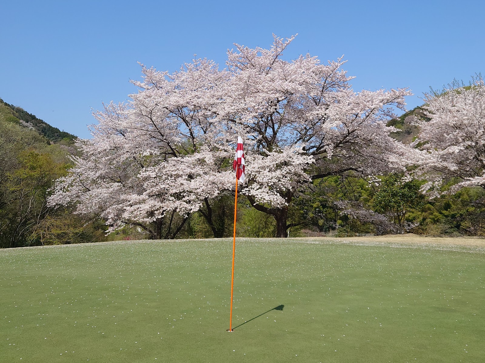 May Lake Hills Country Club - 5