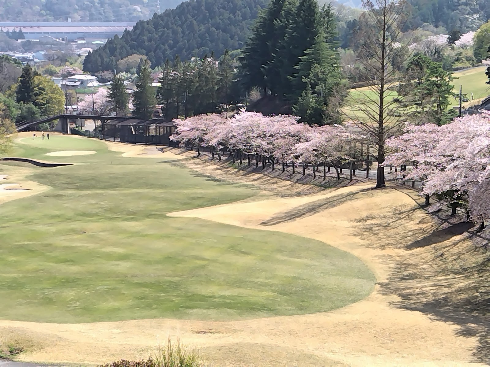 Jobu Country Club - 4