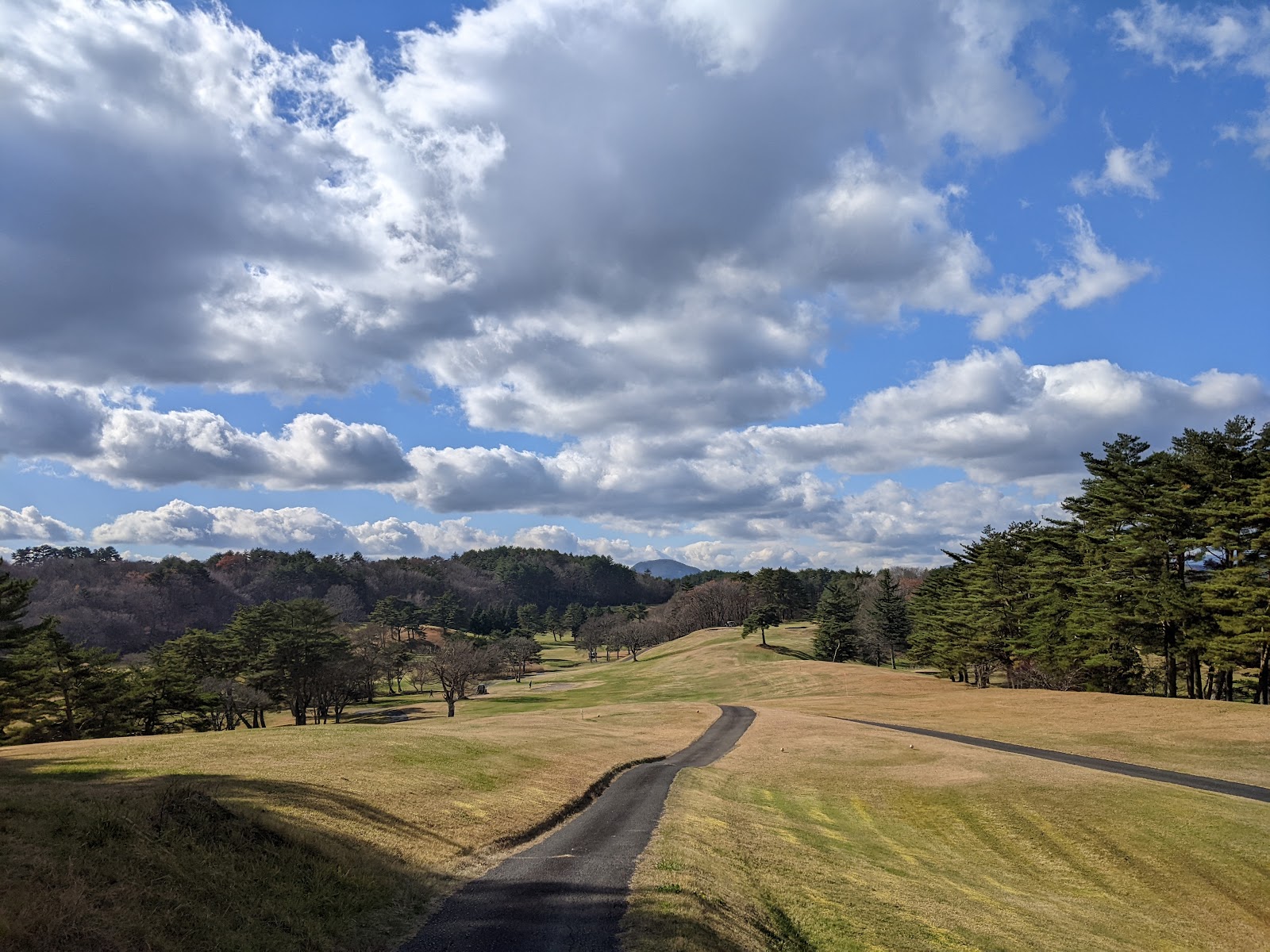 Iwate Golf Club - 2