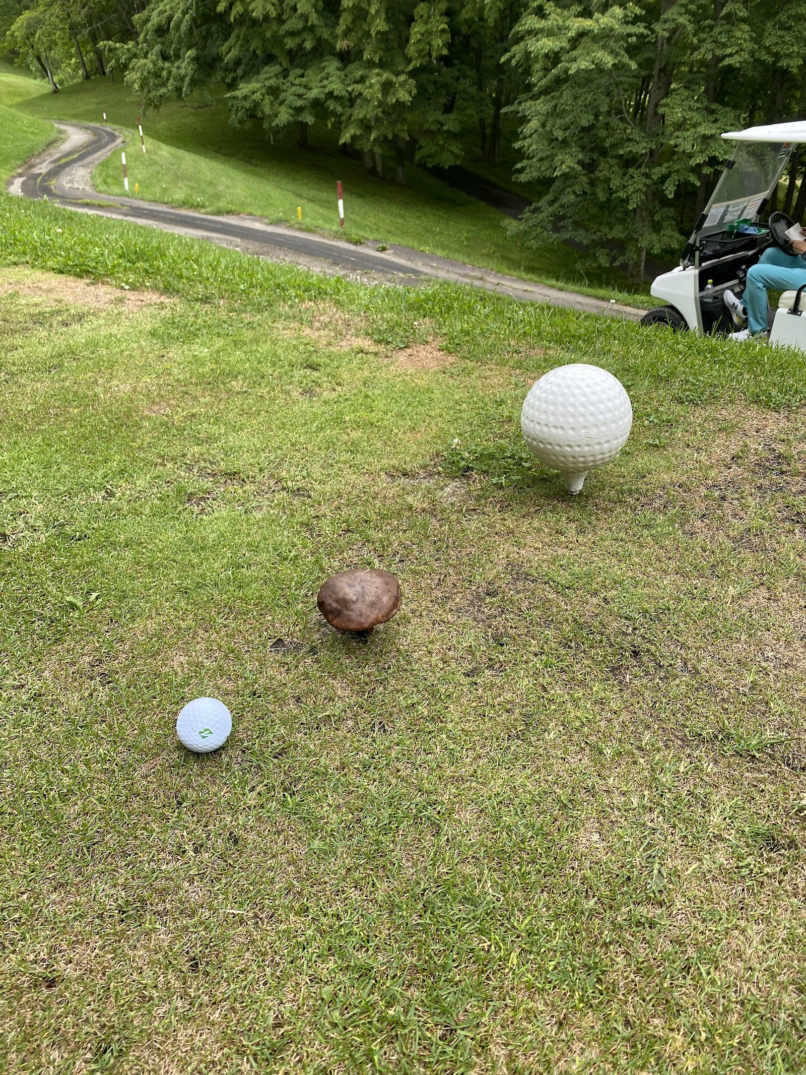 SIR Le Peteau Golf Course - 3