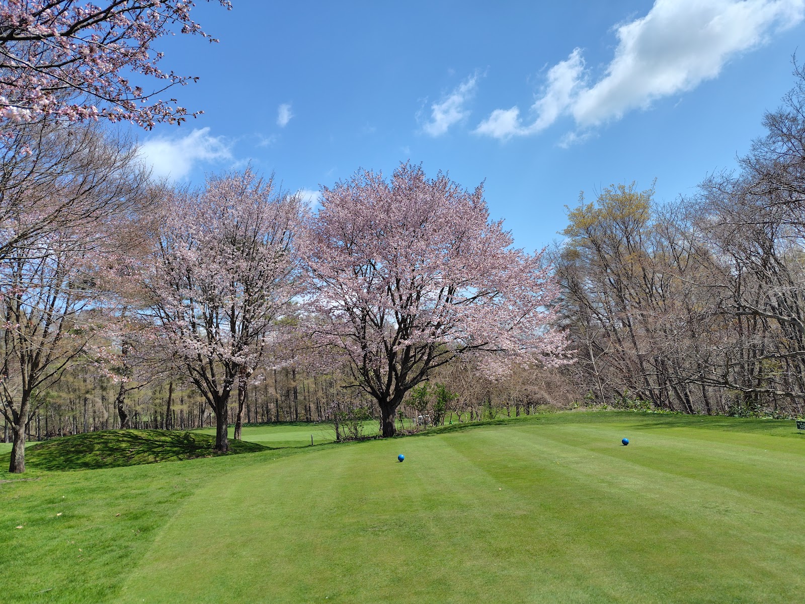 Great Sapporo Country Club - 5