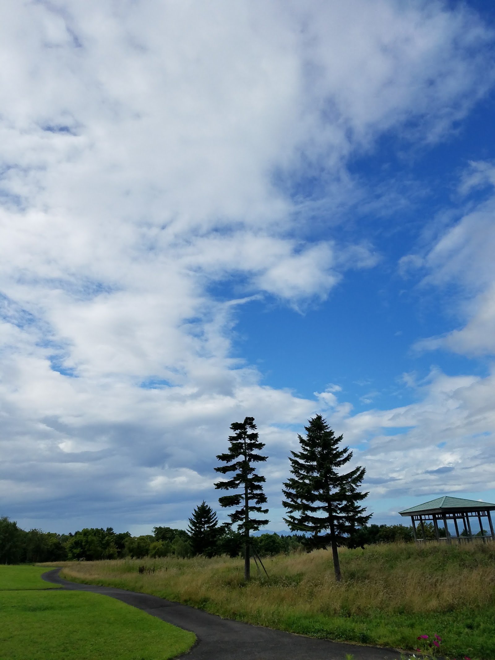 Maoi Golf Resort Hotel