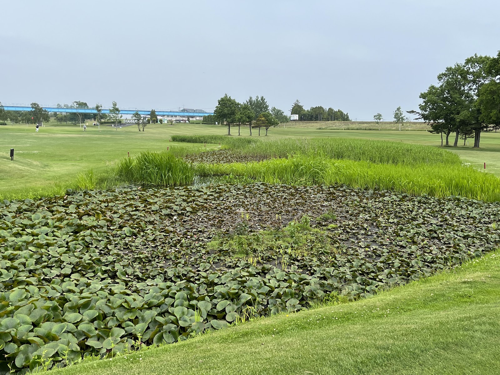 Minami-ho Riverside Golf Course West/South Course - 6