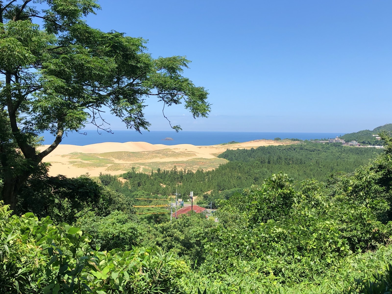 Tottori Golf Club