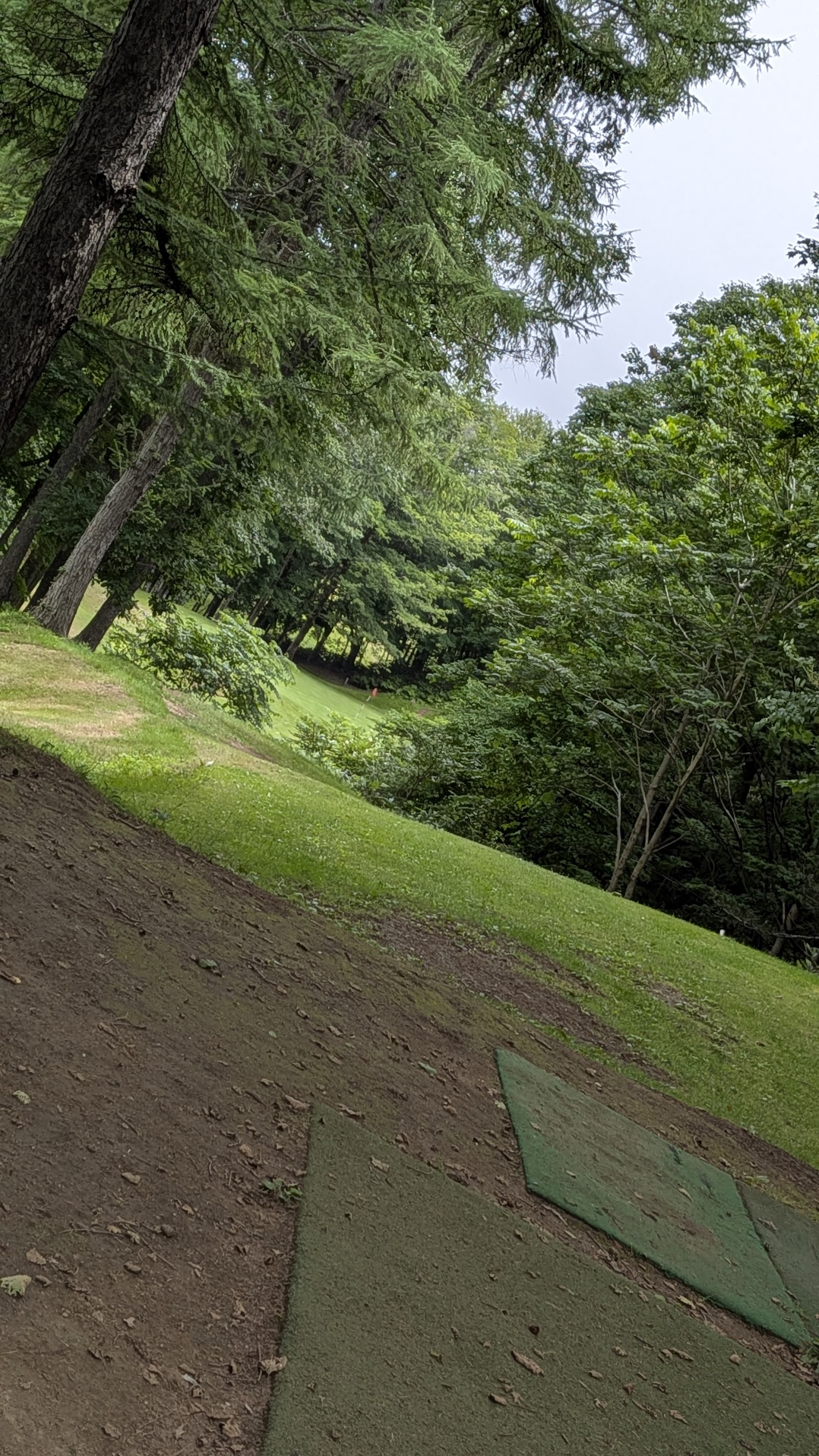 Tokiwadai Golf Course - 5