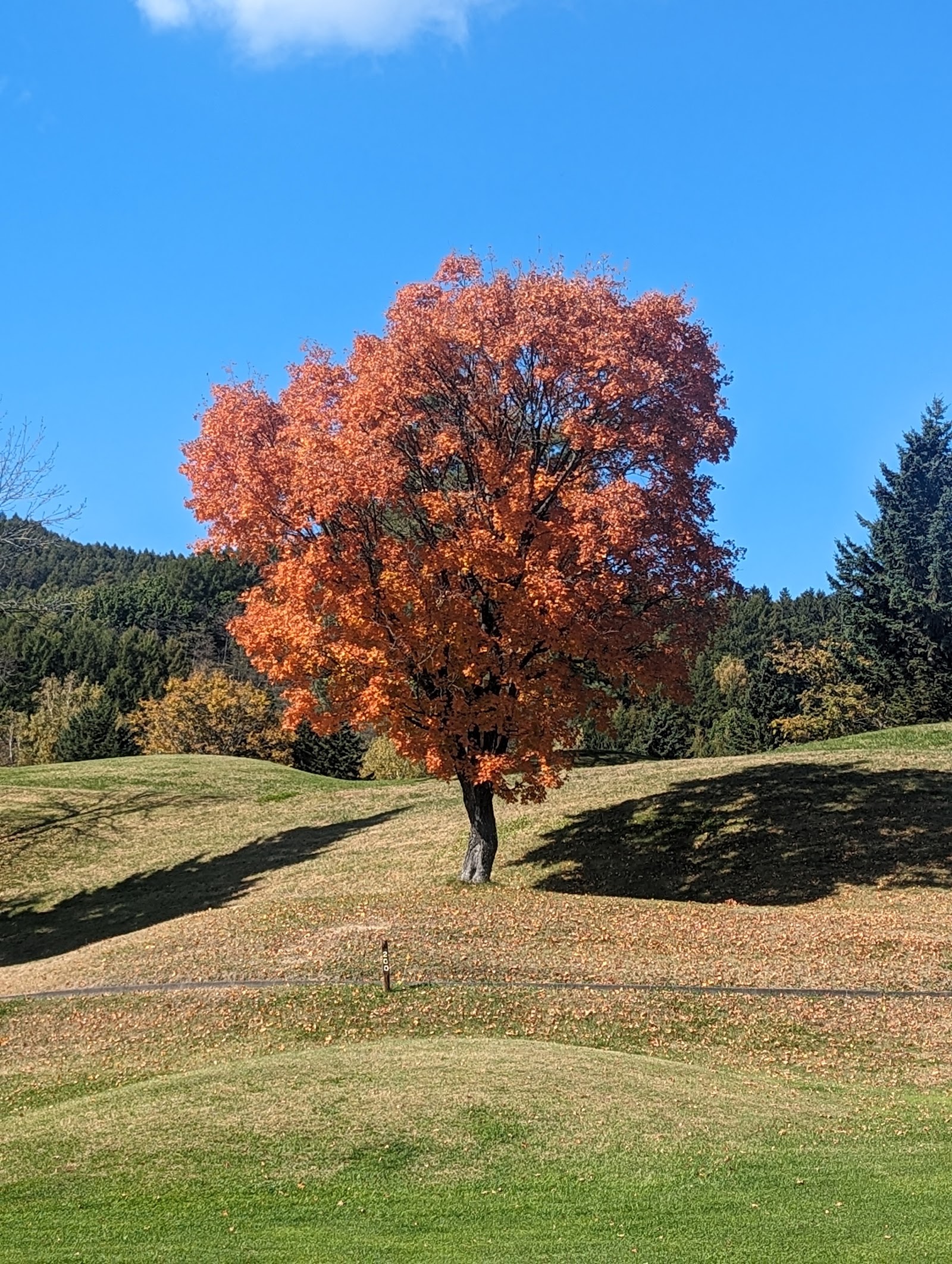 Northern Arc Golf Club - 4