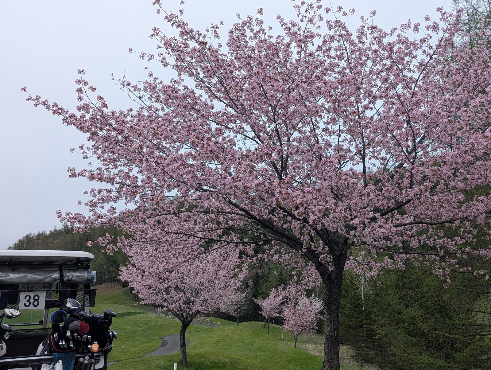 Kitami Herbhill Golf Club - 4