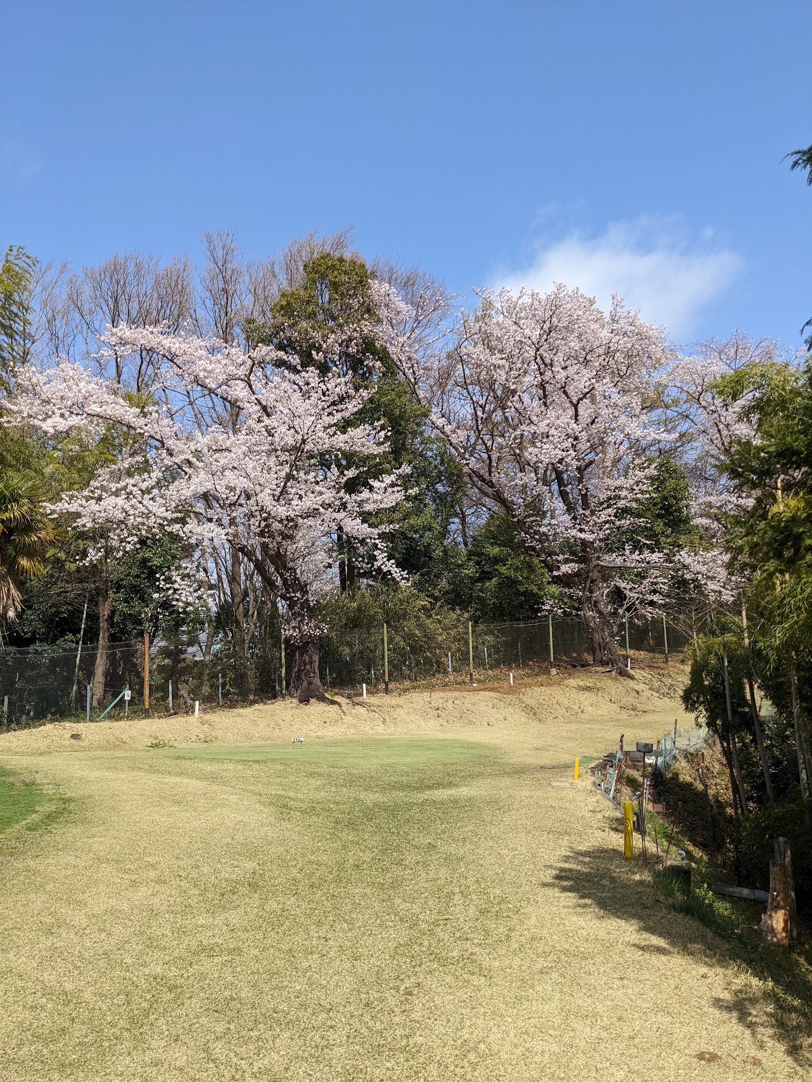 Green Golf Course - 4