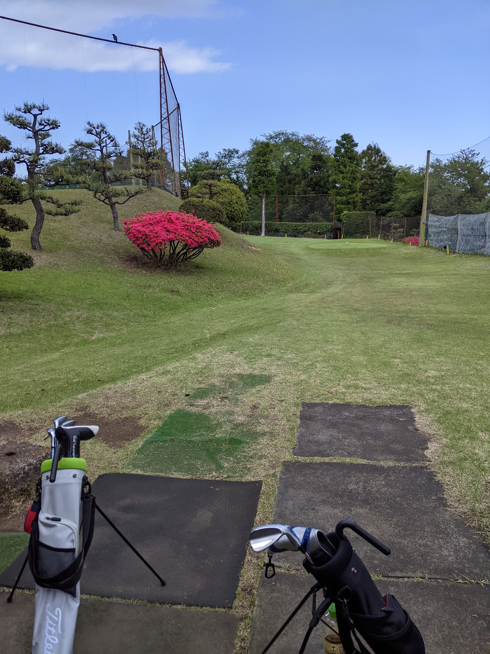 Green Golf Course - 5
