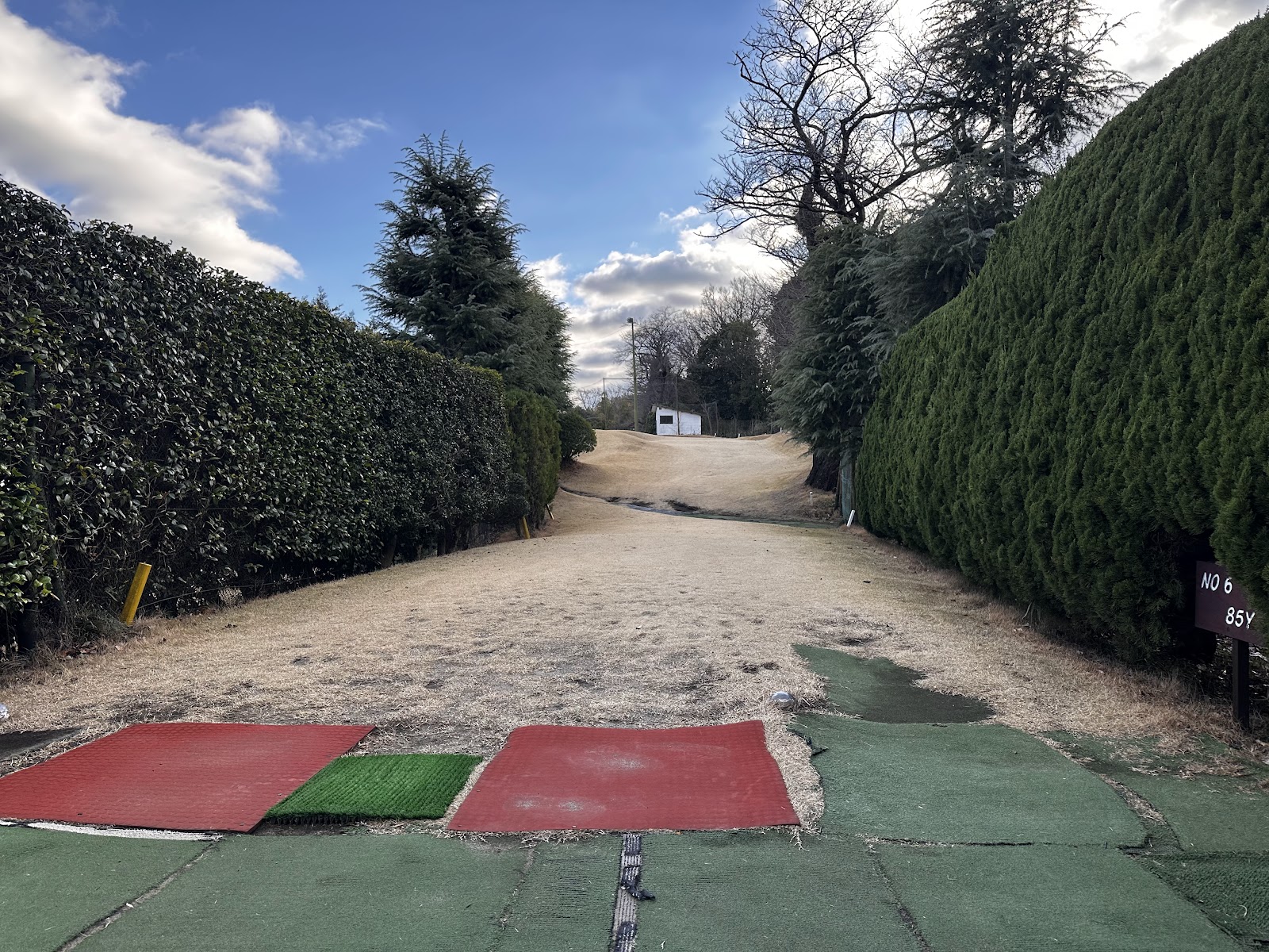 Green Golf Course - 6