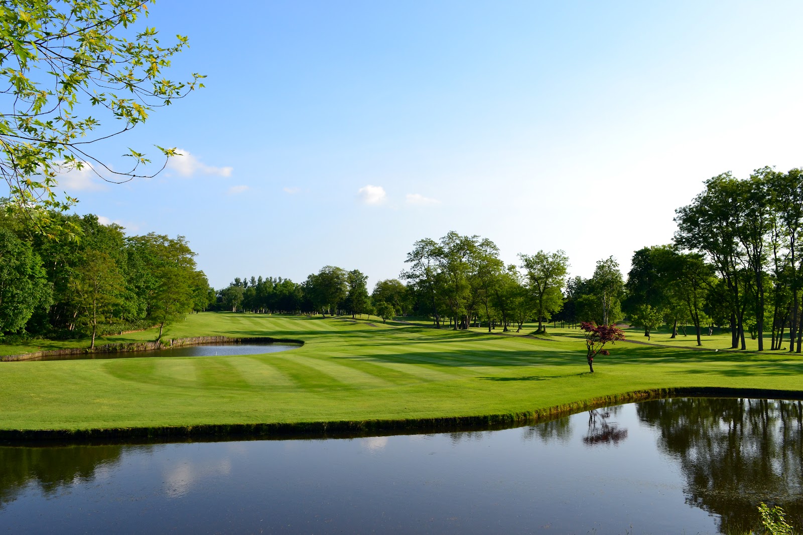 New Naiie Country Club - 2