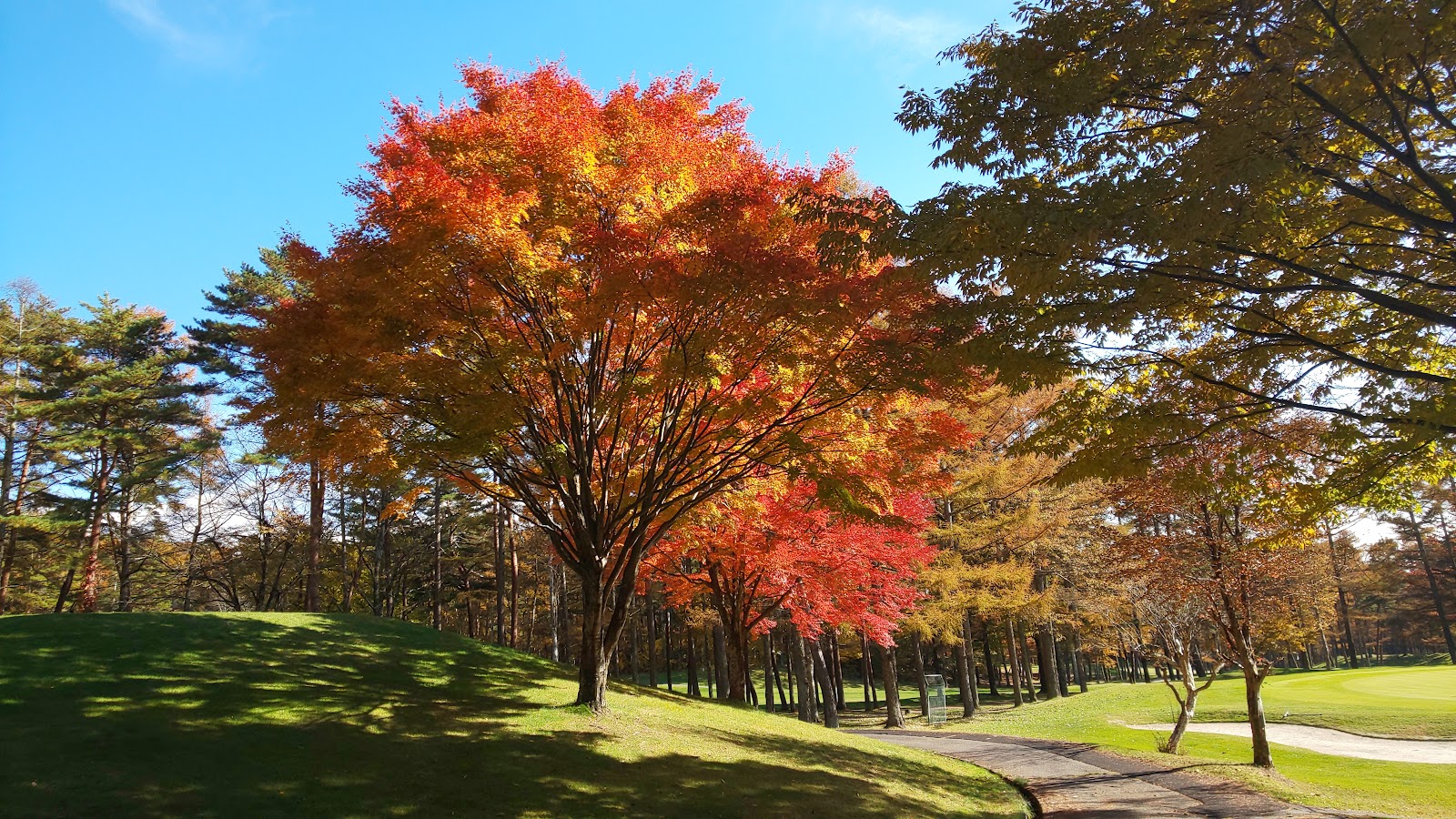Hill Park Kiyosato Golf Course - 3