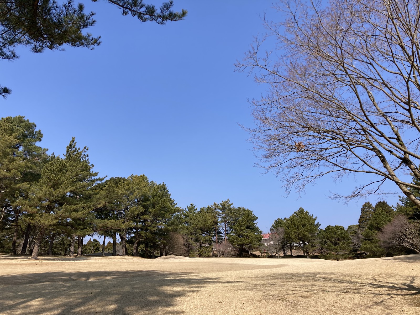 Kirishima Golf Club - 3