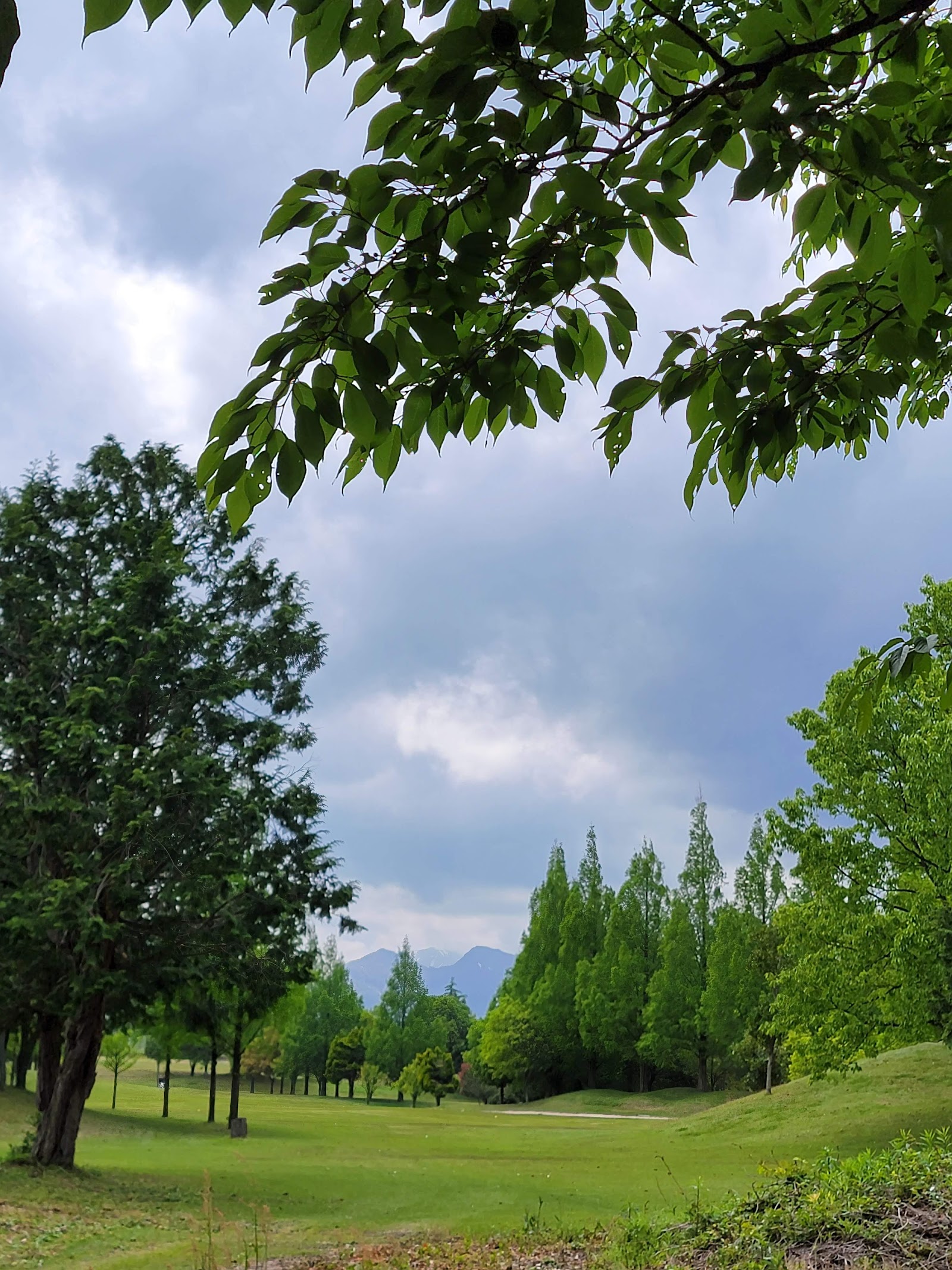 Mitsuyoshi Country Club - 6