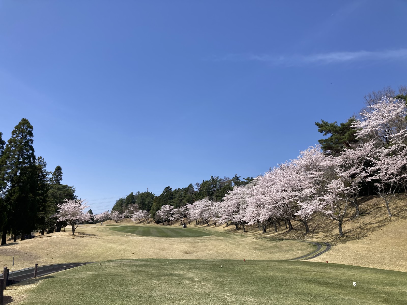 Benny Country Club - 3