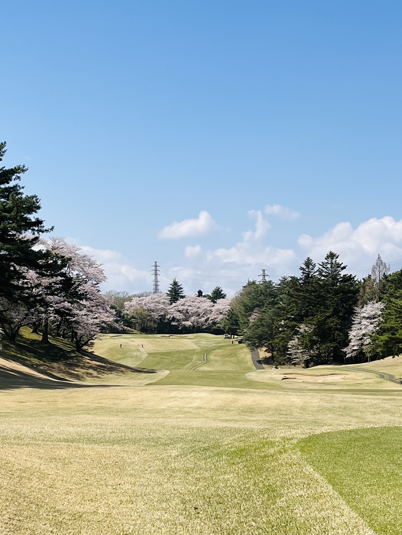 Fuchu Country Club - 2