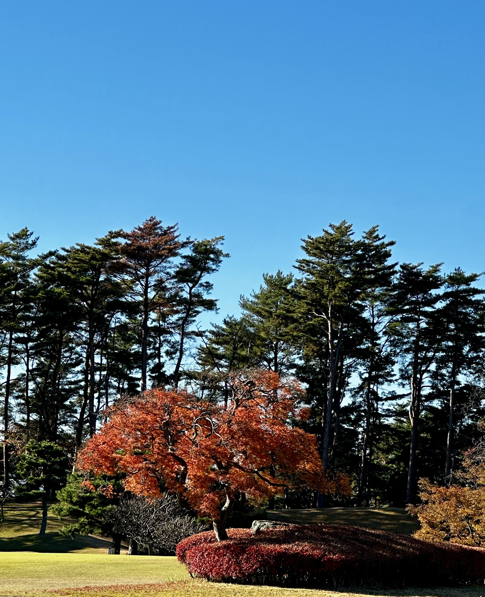 Fuchu Country Club - 5