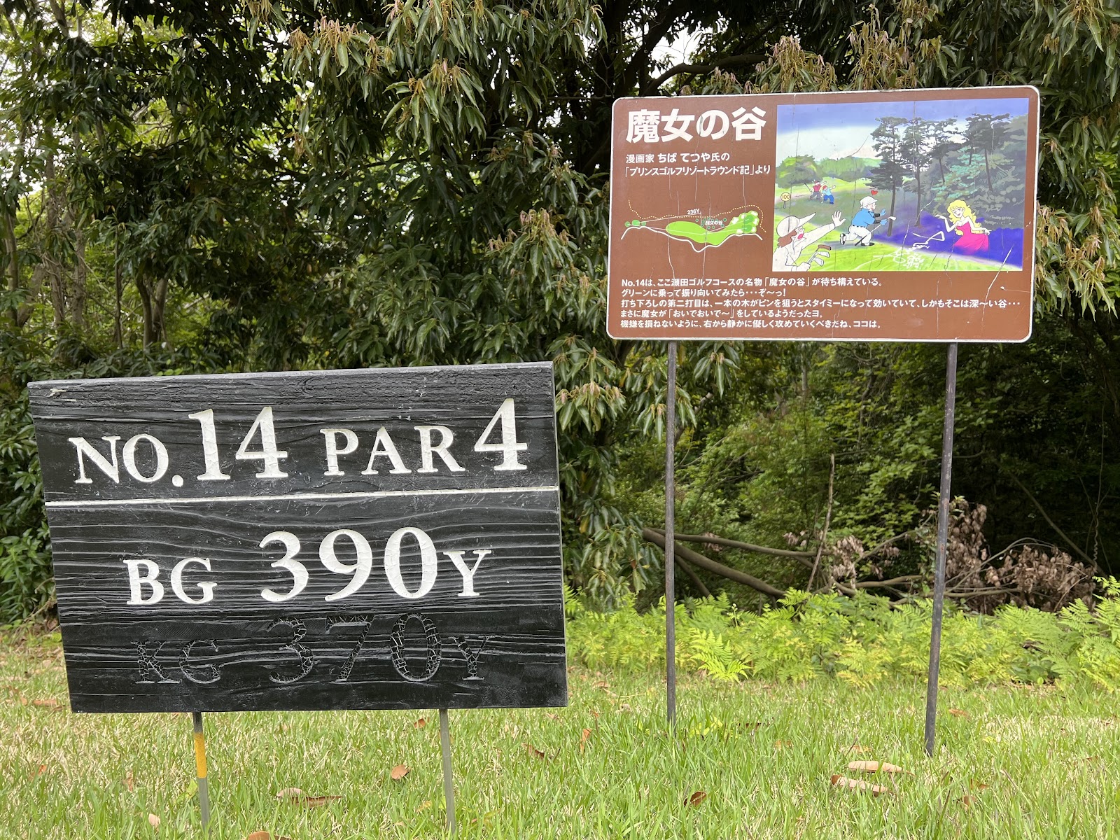 Seta Golf Course - 5
