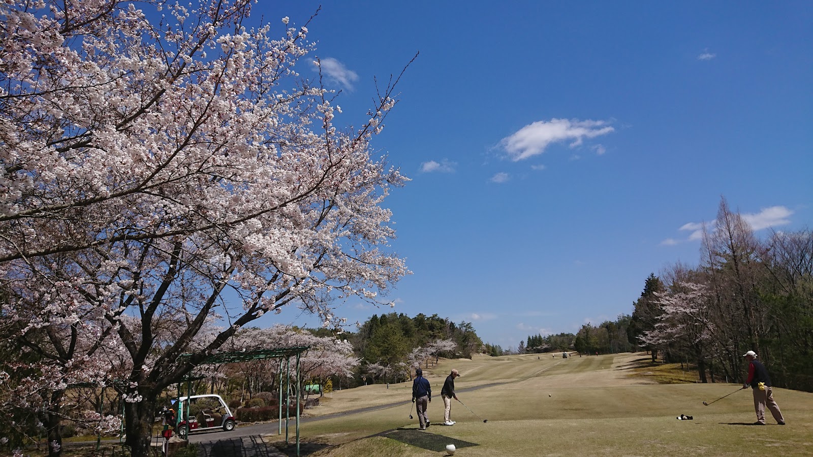 Crown Country Club - 6