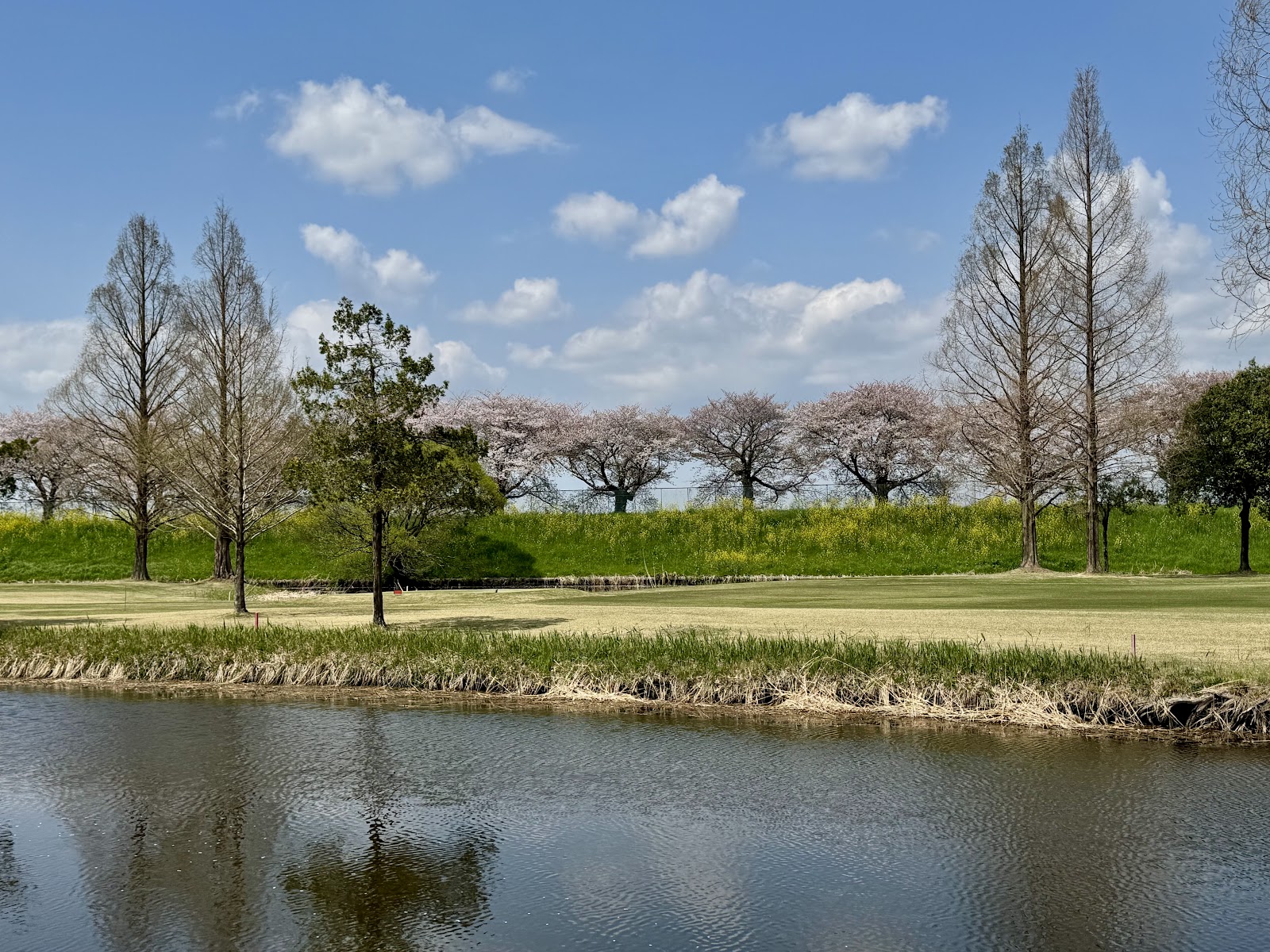 Itakura Golf Course - 3